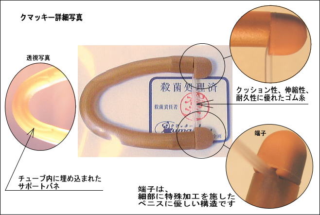 包茎矯正リング詳細図